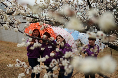 부산지역에서 유일한 동기유발 프로그램에 참여중인 동명대 신입생들이 봄비 속 매화 앞에서 함박웃음을 짓고 있다.