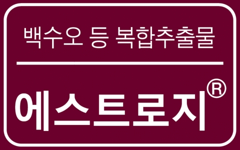 에스트로지 로고