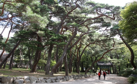 조선 후기 겸재 정선이 금강산보다 더욱 아름다운 경관이라 말하고 화폭에 담았던 곳이 내연산이다.
