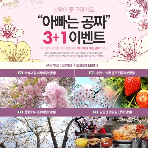 위크온은 봄을 맞아 전국 벚꽃축제 소식과 함께 벚꽃축제 당일여행 나들이 이벤트를 진행한다.