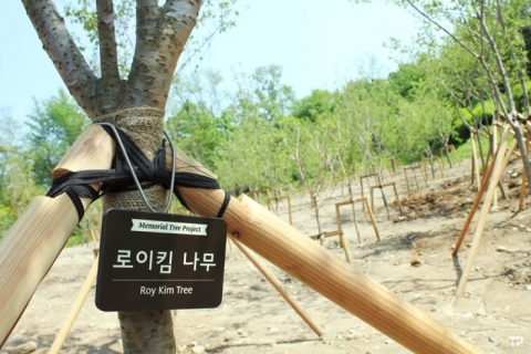로이킴숲 전경. 팬이 걸어 준 현판이 보인다