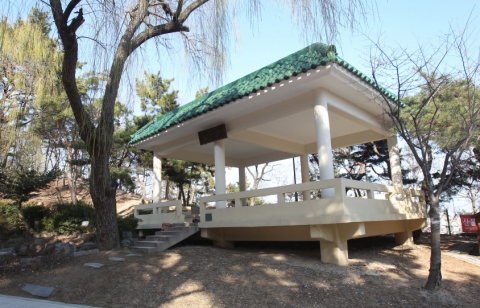 수도산은 도심에 있는 산이라 그리 높지 않지만 정상에 오르면 영일만의 푸른 동해바다가 눈앞에 들어오고 포스코, 포항운하 등 포항의 전경이 펼쳐진다.