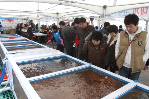 제3회 구룡포 수산물 한마당 잔치에 30만명이 다녀가 100억원대의 경제적 파급효과를 창출해 지역경제 효자노릇을 톡톡히 했다.