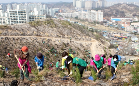 포항시가 지난 28일 덕수공원 일원에서 시민, 기업체, 유관단체, 공무원 등 1천여명이 참여한 가운데 2014 희망의 나무심기 행사를 가졌다.