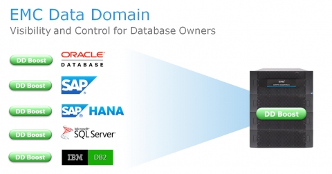 단일한 데이터 보호 스토리지 플랫폼, EMC 데이터 도메인(EMC Data Domain)
