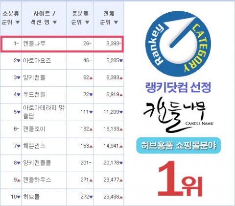 랭키닷컴 허브용품 쇼핑몰 분야 순위 리스트이다.