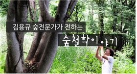 한국보건복지인력개발원의 모바일 감성칼럼 다독다독 서비스 숲철학이야기