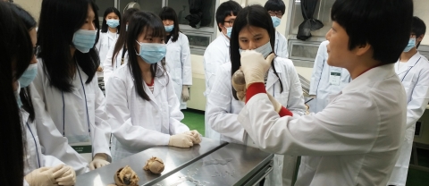 건국대 수의과대학과 동물병원에서 열린 2014 전공체험에 참여한 고교생들이 수의예과 프로그램으로 동물병원에서 심장해부학 실습에 대한 설명을 듣고 있다