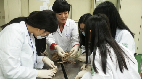 건국대 수의과대학과 동물병원에서 열린 2014 전공체험에 참여한 고교생들이 수의예과 프로그램으로 동물병원에서 심장해부학 실습에 대한 설명을 듣고 있다