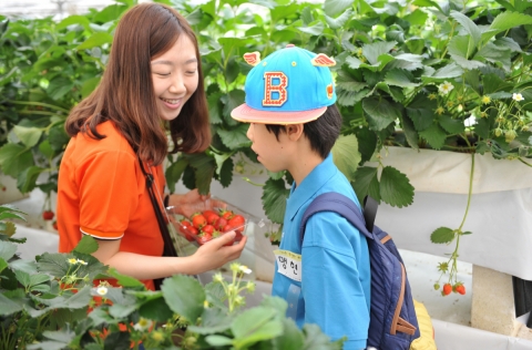싱가포르항공이 2011년부터 종로 장애인 복지관과 함께 하고 있는 사회공헌 활동의 일환으로, 5월 31일 저소득층 및 장애아동을 초청하여 딸기 농장 체험 프로그램을 진행했다.