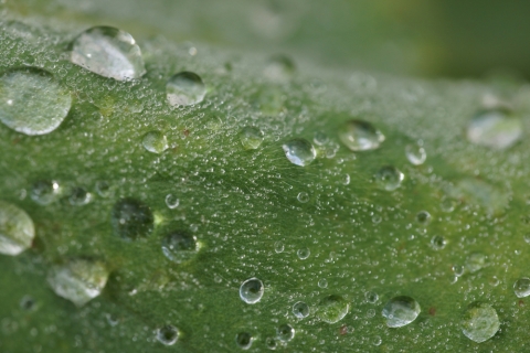 세기P&C(주)는 칼 자이스 Touit 2.8/50M 렌즈의 출시를 밝혔다.