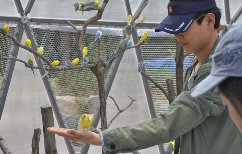 더파크 동물원내 버즈캠프에서 관람객이 앵무새와 교감하고 있다.