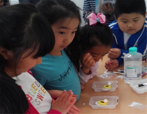 군산대학교 산학협력단이 운영하는 2014년 생활과학교실이 7월 14일부터 9월 30일까지 부안군 일대에서 진행된다.