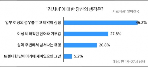 김치녀에 대한 의견 조사결과