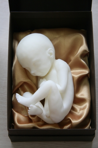 쓰리디스토리가 3D 태아 인형을 선보이고 있다.