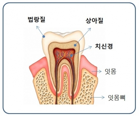여름철 아이스크림, 빙수, 이온 음료 등 달고 찬 음식들의 섭취가 증가하면서 통증을 느껴 치과를 방문하는 사람들이 늘고 있다.