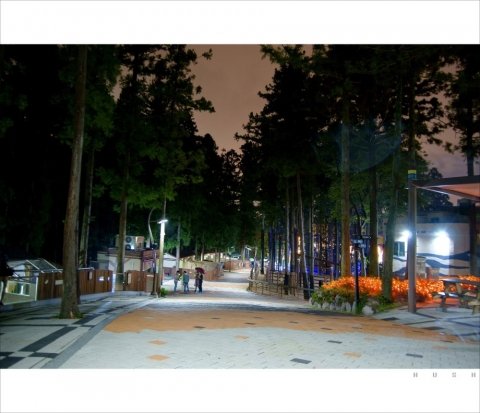 삼정더파크가 야간개장 워킹사파리를 선보이고 있다.