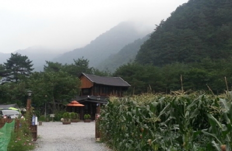 강원도 홍천의 명소인 살둔산장에서 제1회 ‘미각의 추억-김치 담그기 페스티벌’ 개최한다.