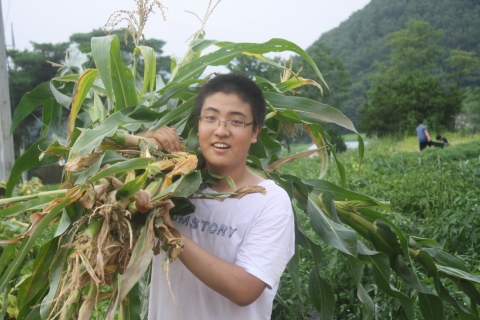 CSIA나눔농원에서 옥수수를 수확하고 있는 조용하 학생