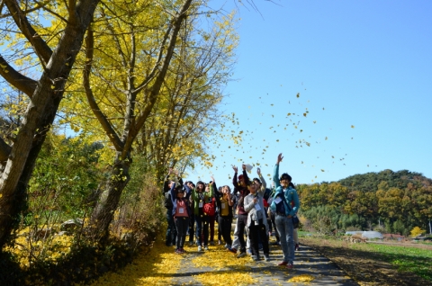 노란 은행잎을 날리며 자연을 느끼는 청소년여행문화학교 참가자들