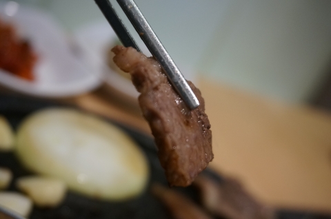 녹우돈 한우