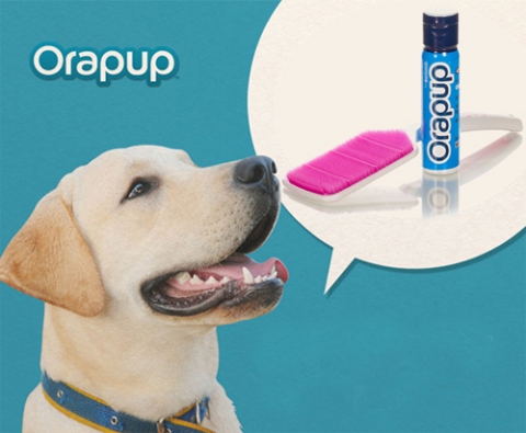 오라펍(Orapup)은 강아지 양치질 유도 애견용품이다.