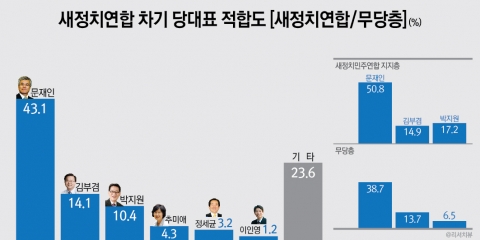 새정연/무당층 차기 당대표 적합도, 문재인(43.1%) vs 김부겸(14.1%)