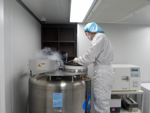 봉봉성형외과 줄기세포 재생치료 연구소에서 전문 연구원이 -196도의 극저온 냉동보관 장치에서 보관된 줄기세포를 꺼내고 있다