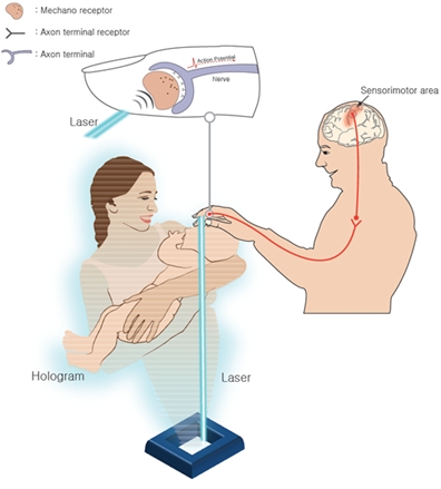 건국대 글로컬캠퍼스 의료생명대학 정순철 교수 연구팀이 인체 외부에서 가해지는 다양한 물리적 자극을 촉감신호로 변환시키는 피부 기계적 감수기들을 레이저 열탄성효과를 이용해 활성화 시켜 레이저 빛을 이용해 촉감을 유발하는 새로운 기술을 개발했다.