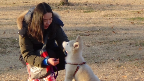 도그워킹 실습은 해외와 동일한 내용으로 진행되나, 국내 실정에 맞추어 실습이 해외보다 많다