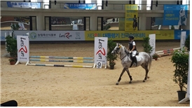 제10회 농림축산식품부장관배 전국승마대회가 12일부터 개최된다. 사진은 장애물경기 모습