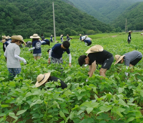 건국대학교 총학생회가 지난달 27일부터 30일까지 강원도 원주시 매호리 호저면 매화 마을에서 재학생 110명과 농촌 봉사활동을 펼쳤다