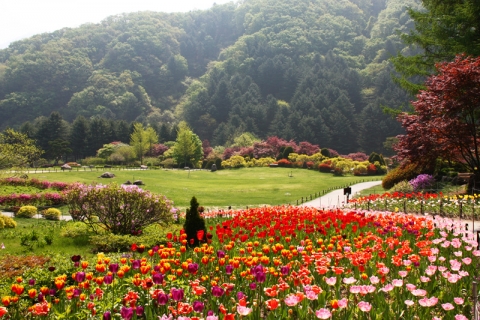 가평에 위치한 아침고요수목원에서 봄나들이 봄꽃축제가 진행중이다.