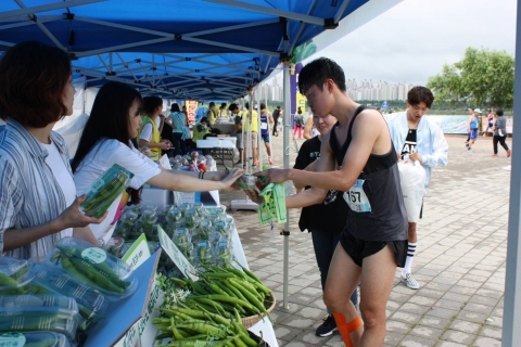한국풋고추생산자협의회가 골드마라톤대회에서 약 1,500여명의 마라톤 참여자들에게 풋고추 나눔행사를 진행했다