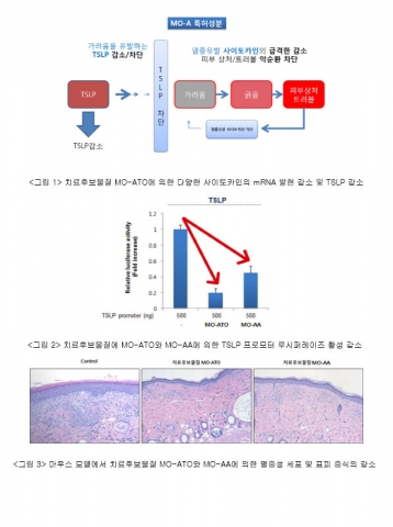 메디컬오가 개발한 피부염 치료제 개요