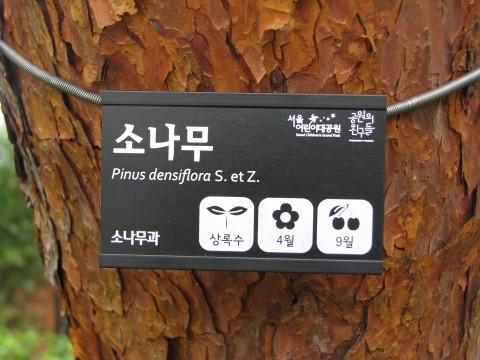 공원의친구들 기금으로 구입한 수목표찰을 단 나무