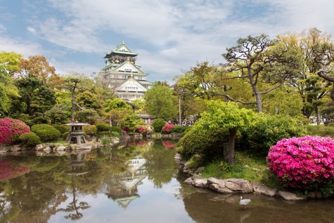 호텔스닷컴이 조사한 올 설 연휴 여행 기간 사용자들이 가장 많이 검색한 인기 여행지 TOP 15에서 오사카가 1위를 차지했다