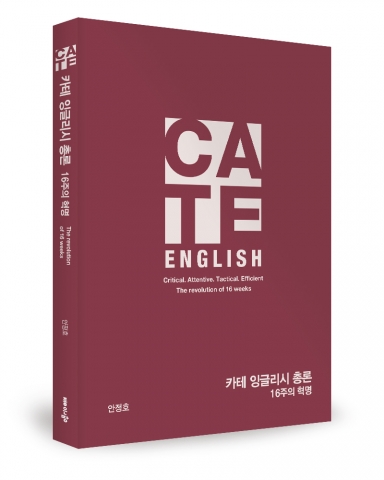 C.A.T.E. ENGLISH 총론, 안정호 지음, 좋은땅 출판사, 416쪽, 18500원