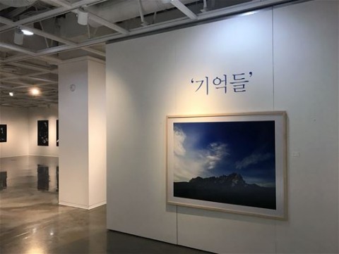 노상현 작가의 전시회가 세종문화회관 미술관 제2전시장에서 열렸다