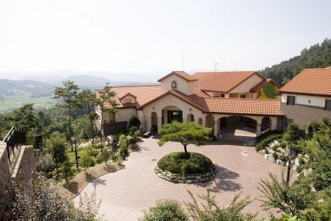 베일러 국제교육 전경