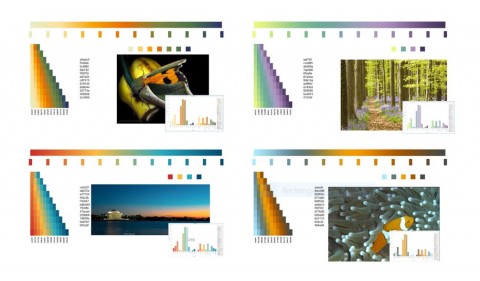 MicroStrategy 10.8의 데이터 시각화를 위한 향상된 색상표