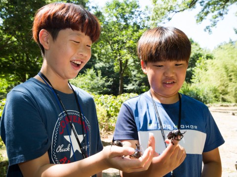 국립중앙청소년수련원 여름방학 생생한 생태체험 특성화캠프 참가 청소년이 장수풍뎅이 잡고 즐거워하고 있다