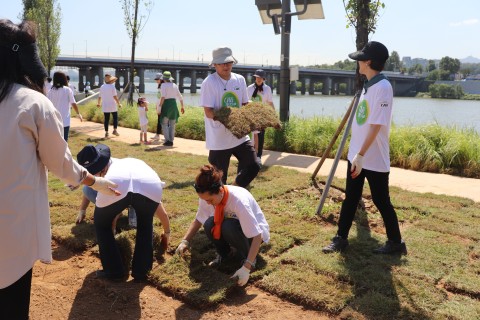 부루벨코리아 임직원들이 이촌한강공원 입양부지에 잔디를 깔고 있다