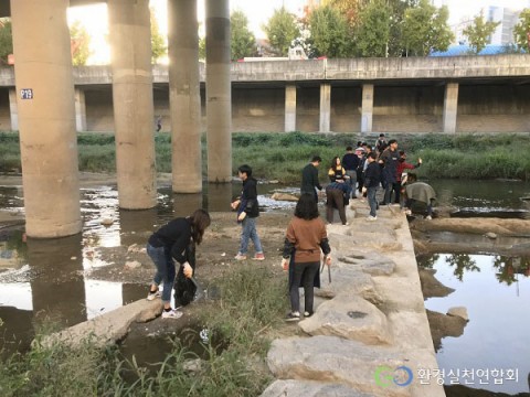 환경실천연합회 수질보호활동에 참가한 자원봉사자들이 하천변 정화활동을 진행하고 있다
