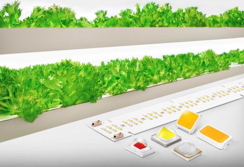 삼성전자의 식물 생장용 LED 패키지와 모듈