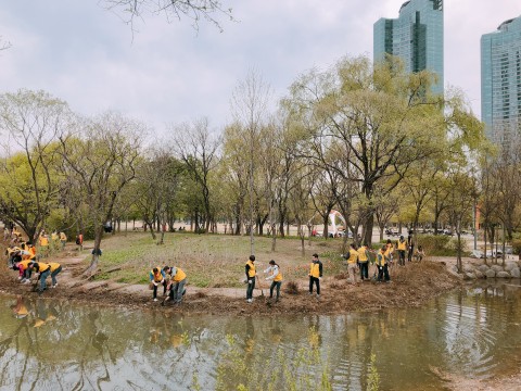 기업 자원봉사 활동으로 서울숲 수변에 가우라를 심고 있다