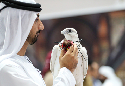 Abu Dhabi International Hunting and Equestrian Exhibition Gets Ready to Launch with the Appearance o...