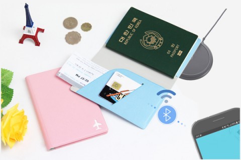 스마트 여권 제품