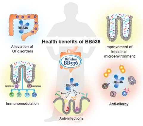 Morinaga Milk’s Probiotic Bifidobacterium longum BB536 Achieves Self-Affirmed GRAS for Infants in Ce...