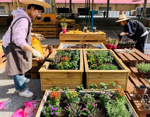 지역을 돌보는 꽃집 커뮤니티형 정원프로젝트 천안케어, 꽃천안